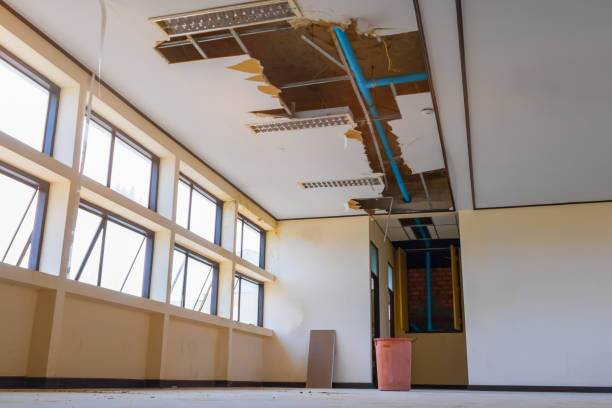 Best Water damage restoration near me  in Belvidere, NJ