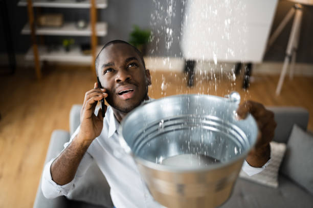 Best Flood damage cleanup  in Belvidere, NJ