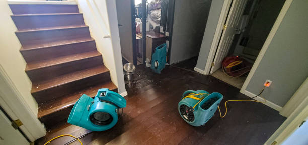 Best Professional water damage repair  in Belvidere, NJ