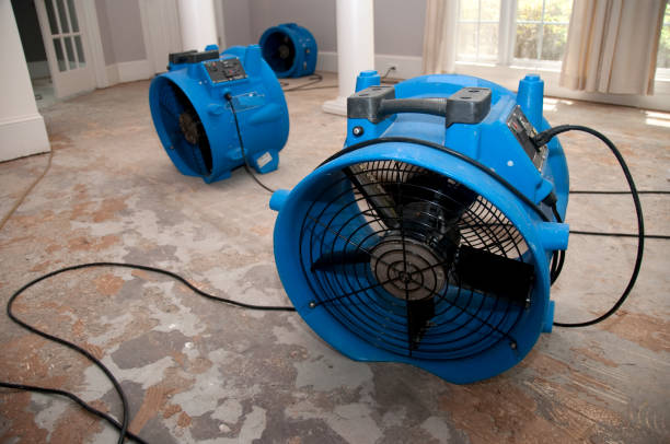 Best Local water damage restoration  in Belvidere, NJ
