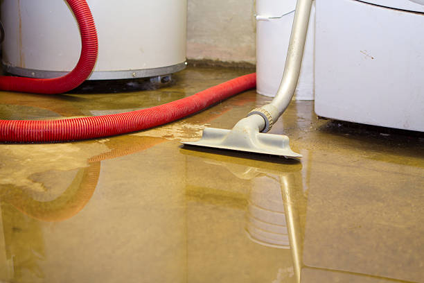 Best Flooded house restoration  in Belvidere, NJ