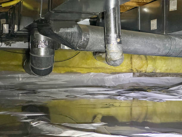 Best 24/7 water damage repair  in Belvidere, NJ