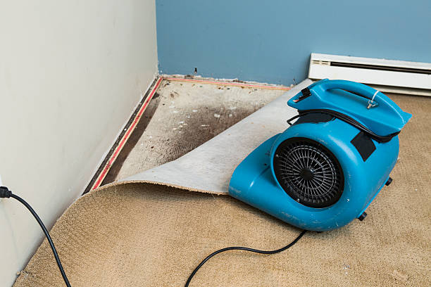 Best Fire Damage Restoration  in Belvidere, NJ